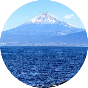 伊豆・浜松