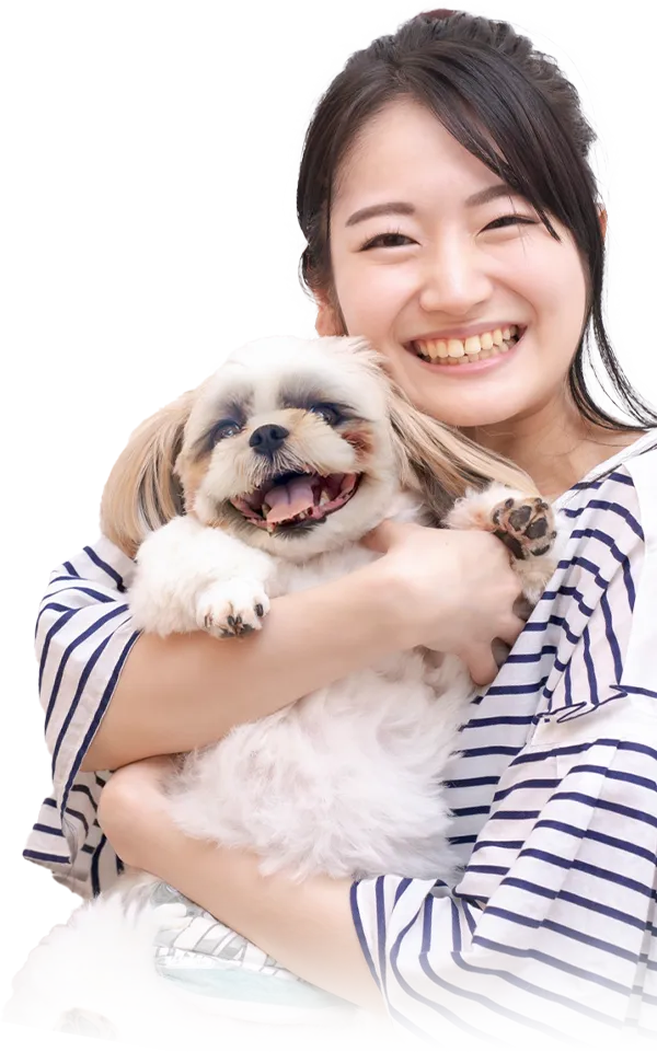 わんこイメージ