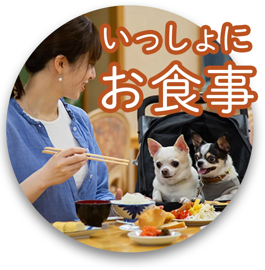 いっしょにお食事