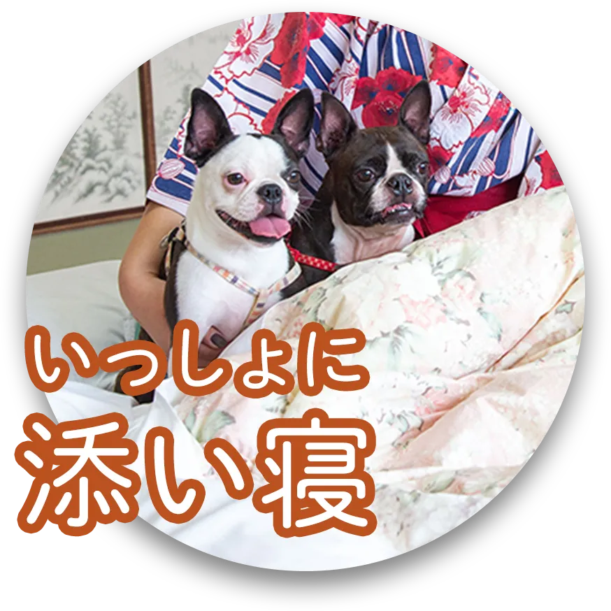 いっしょに添い寝