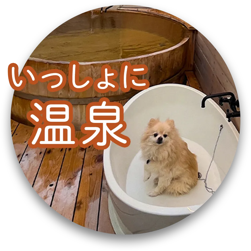 いっしょに温泉