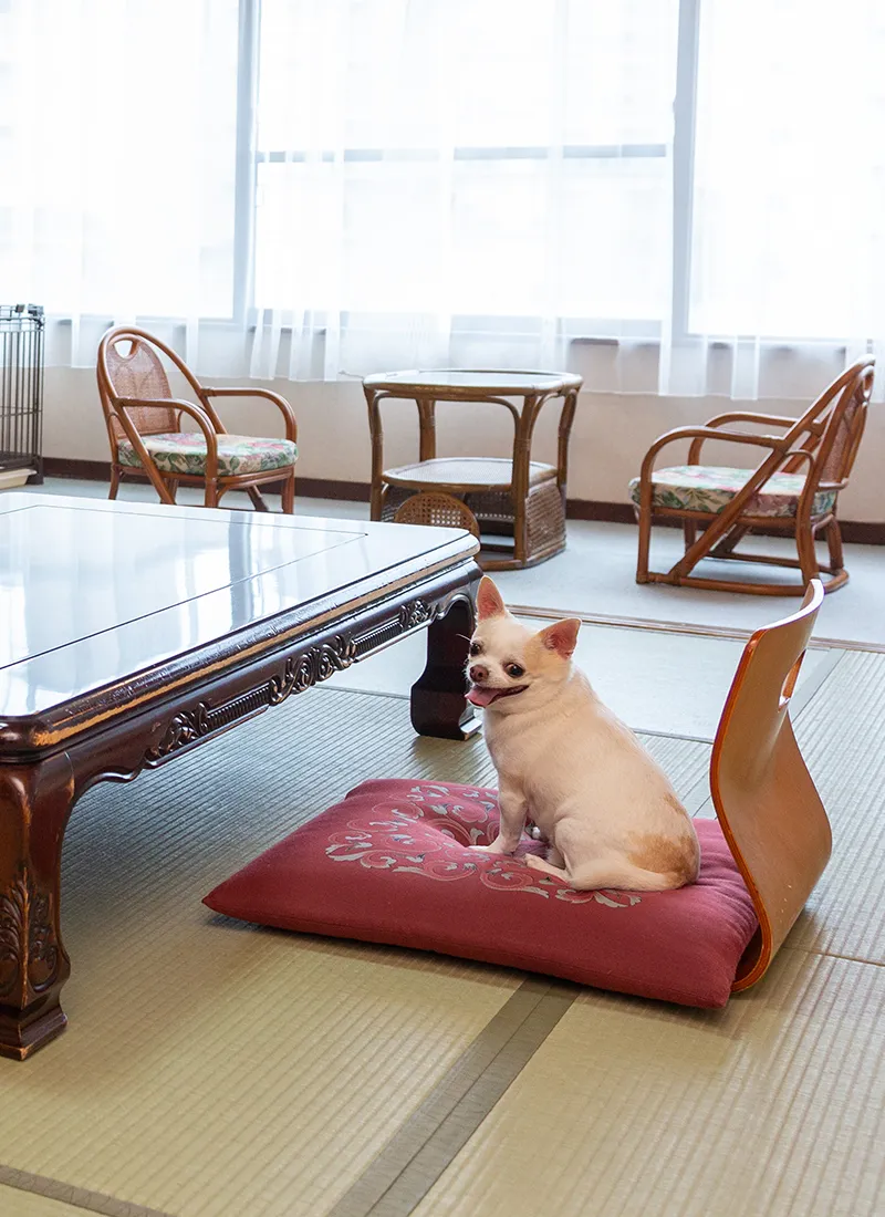 松涛園 お部屋イメージ