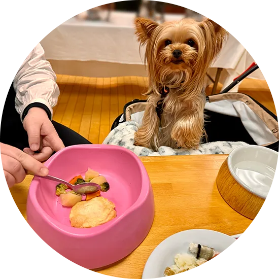 お食事イメージ