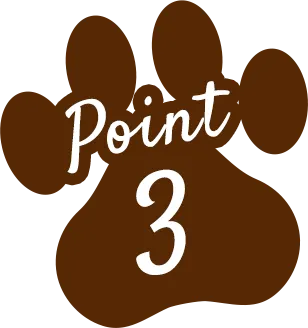 Point 3