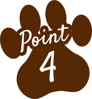Point 4