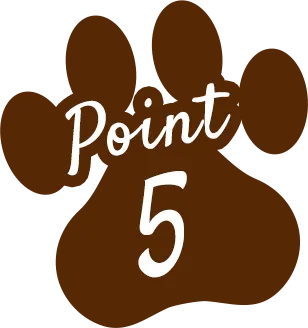 Point 5