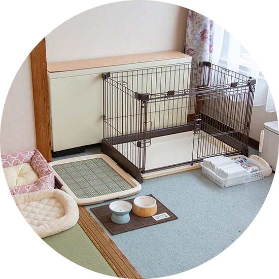 わんちゃん用アメニティイメージ