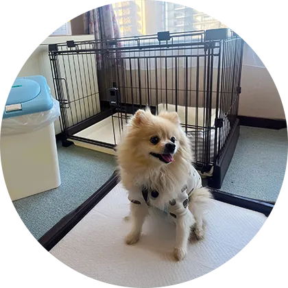 わんちゃん用アメニティイメージ