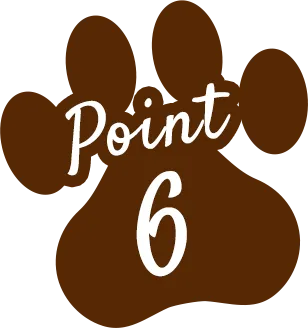 Point 6