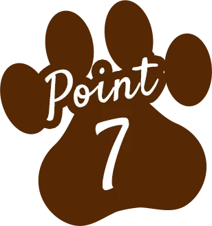 Point 7