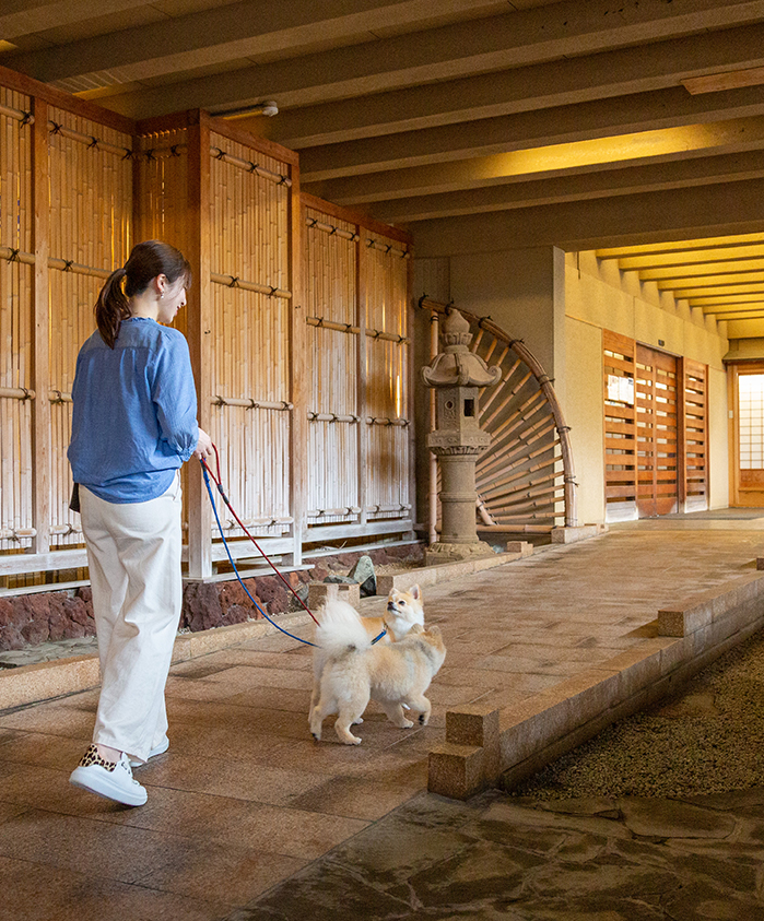 松涛園