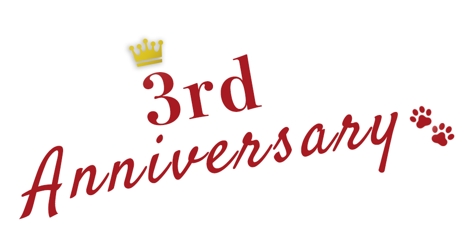 3rd anniversary